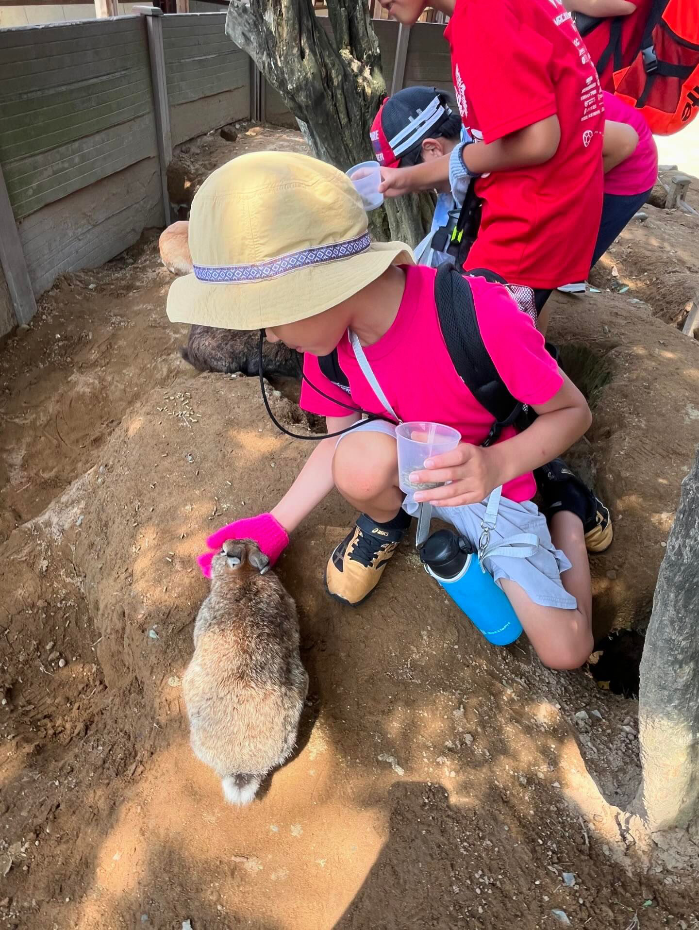 42305762-9BCC-49C8-922F-A234847BDF7B