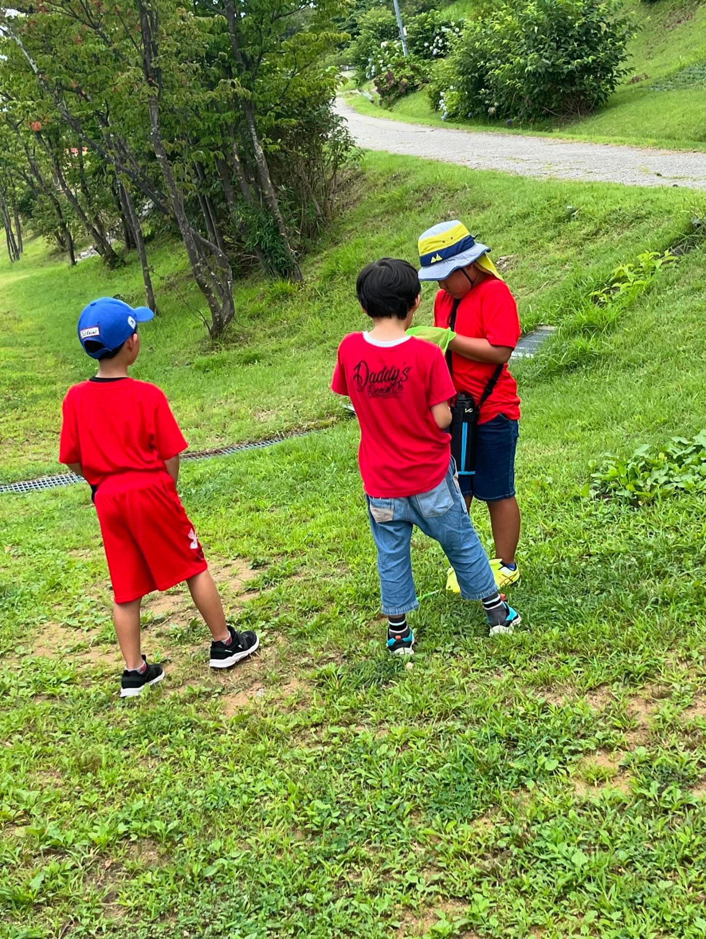 533AEA4F-C95C-4152-A66D-AB0BEB2FF569