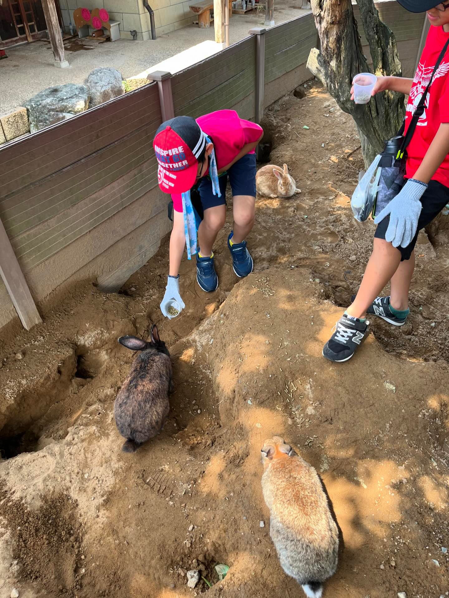 67110527-2A7D-4BB1-B070-874DBF00F9D9