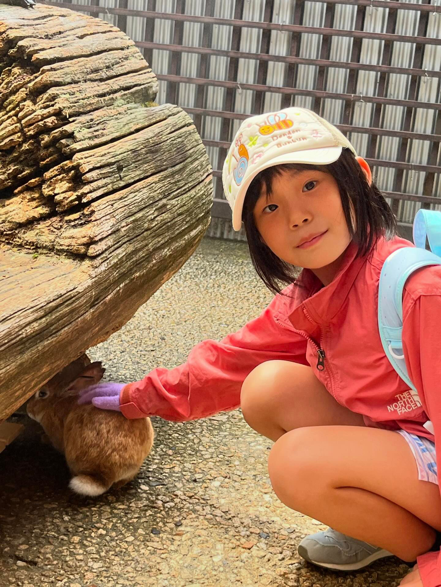 68667332-36A5-455D-A84A-361806F7544C