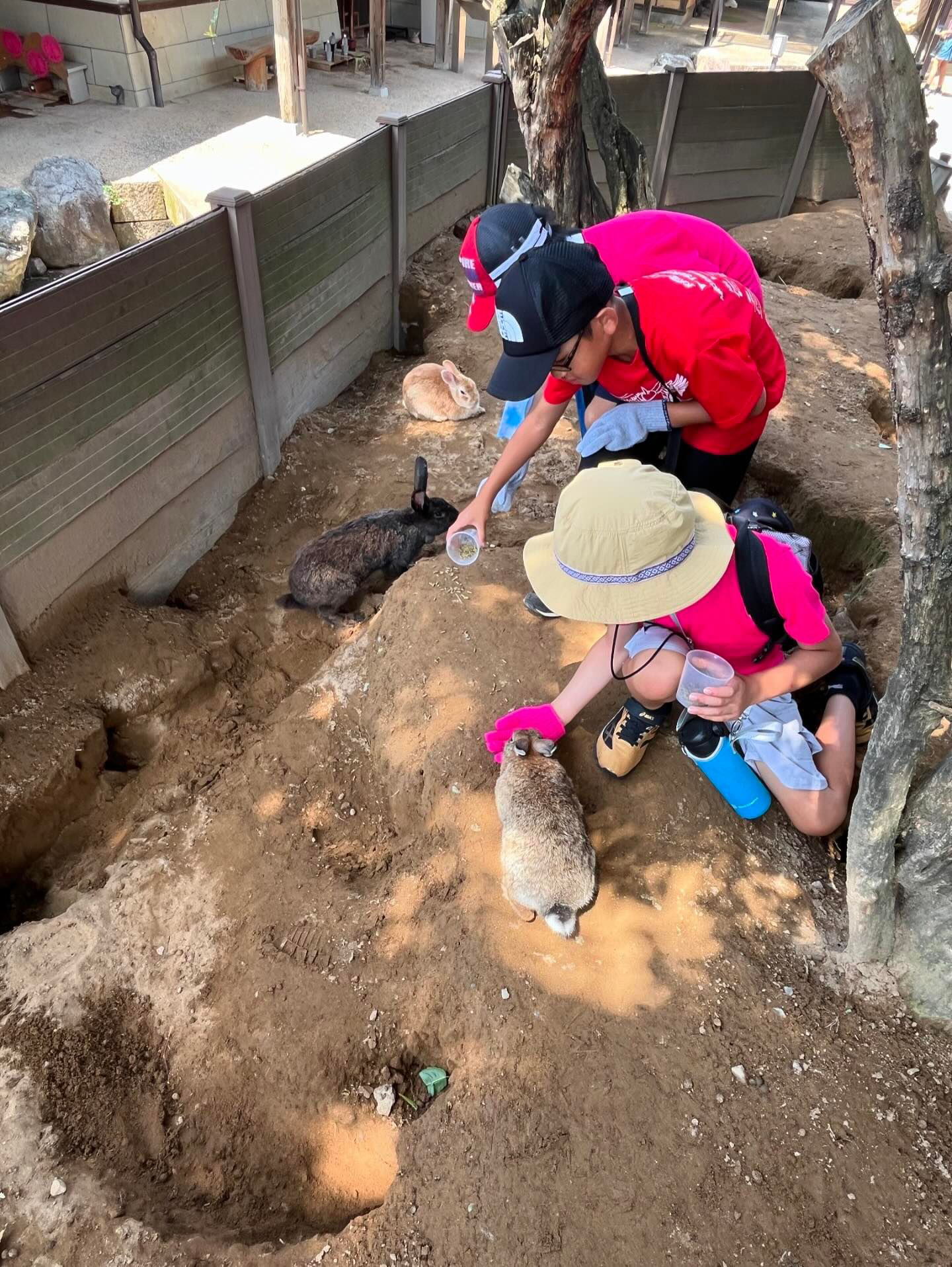 6C91DF2F-6F28-48CA-93C5-F840A5F7559D