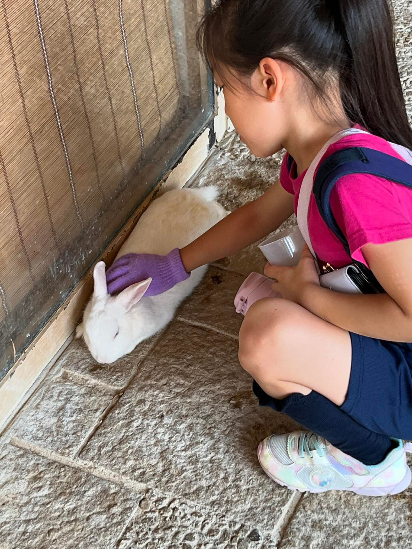 8A5C2524-D50E-4947-9651-27548B0E800B