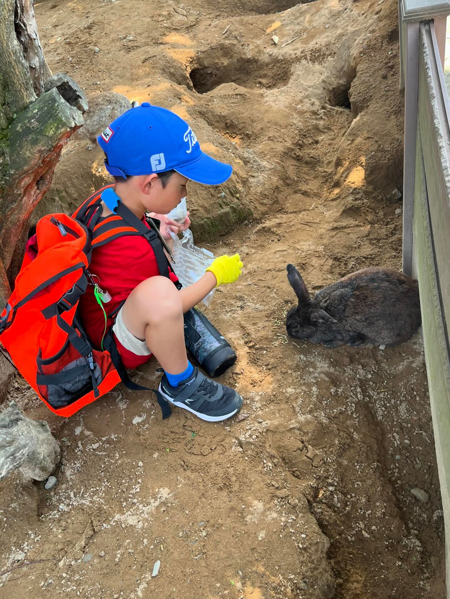 92B0CD17-E5EA-418A-A40E-F416C475AE23