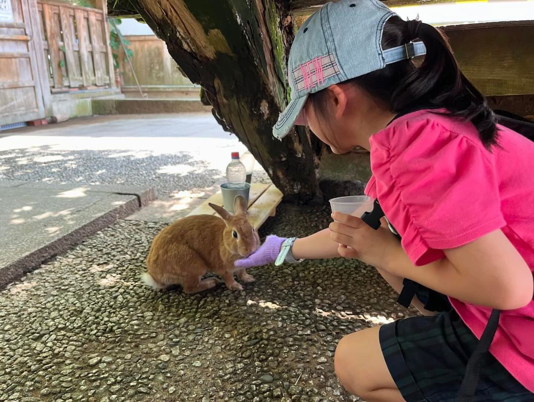 BA8032B5-8D8F-4C62-81A3-32894562FE51