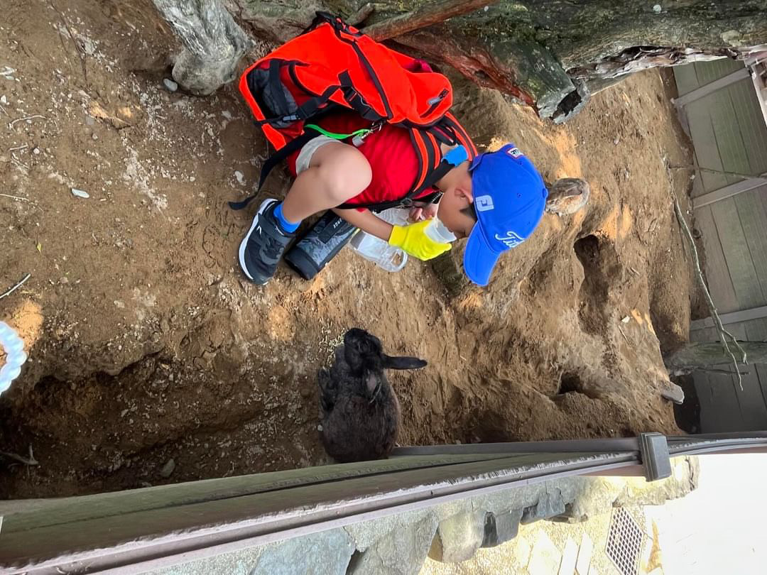 C0164BAE-0441-4773-B2E4-C13E55194F9A