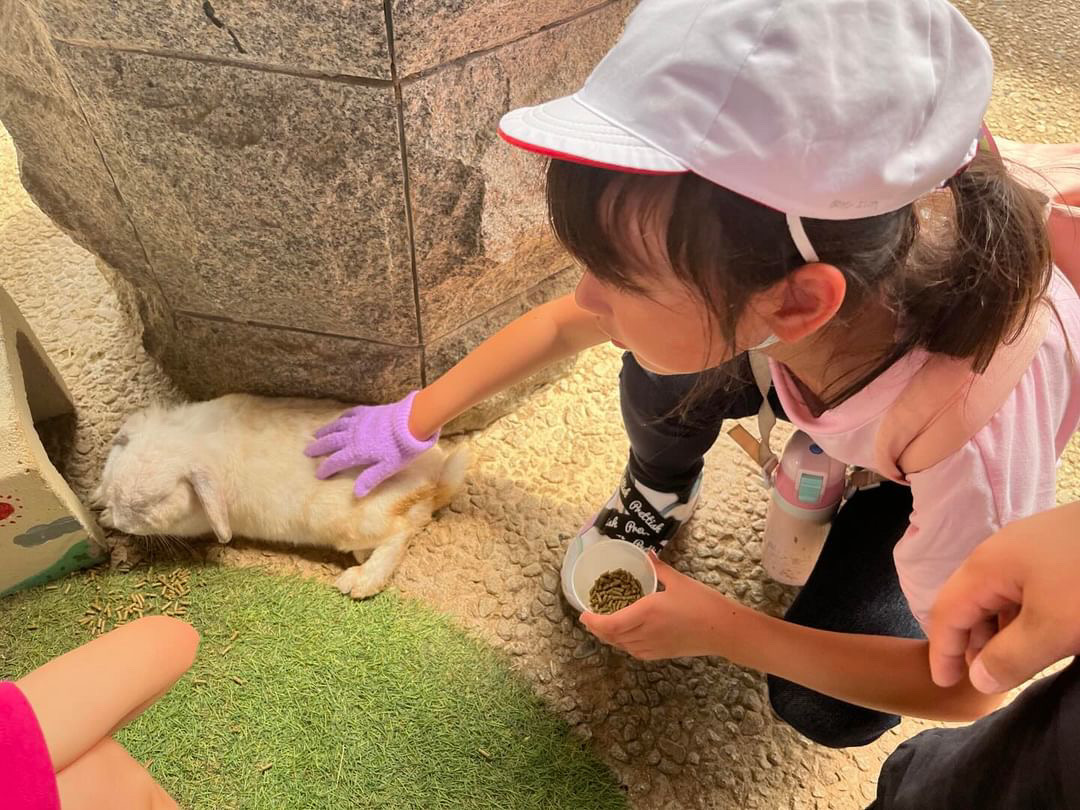 C6424306-D760-4A20-946F-2463E6CEC5CA