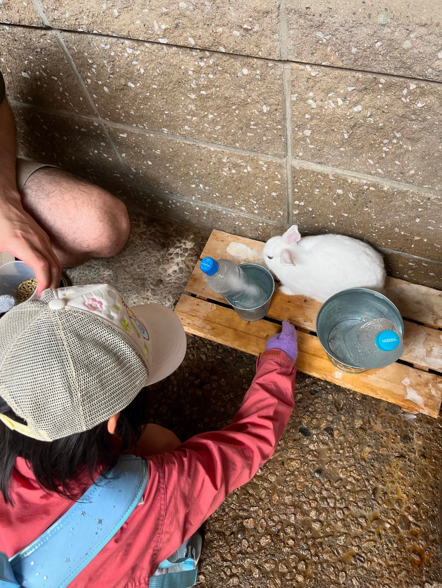 D04F7078-47CA-42DA-85B1-3FB4CF689422