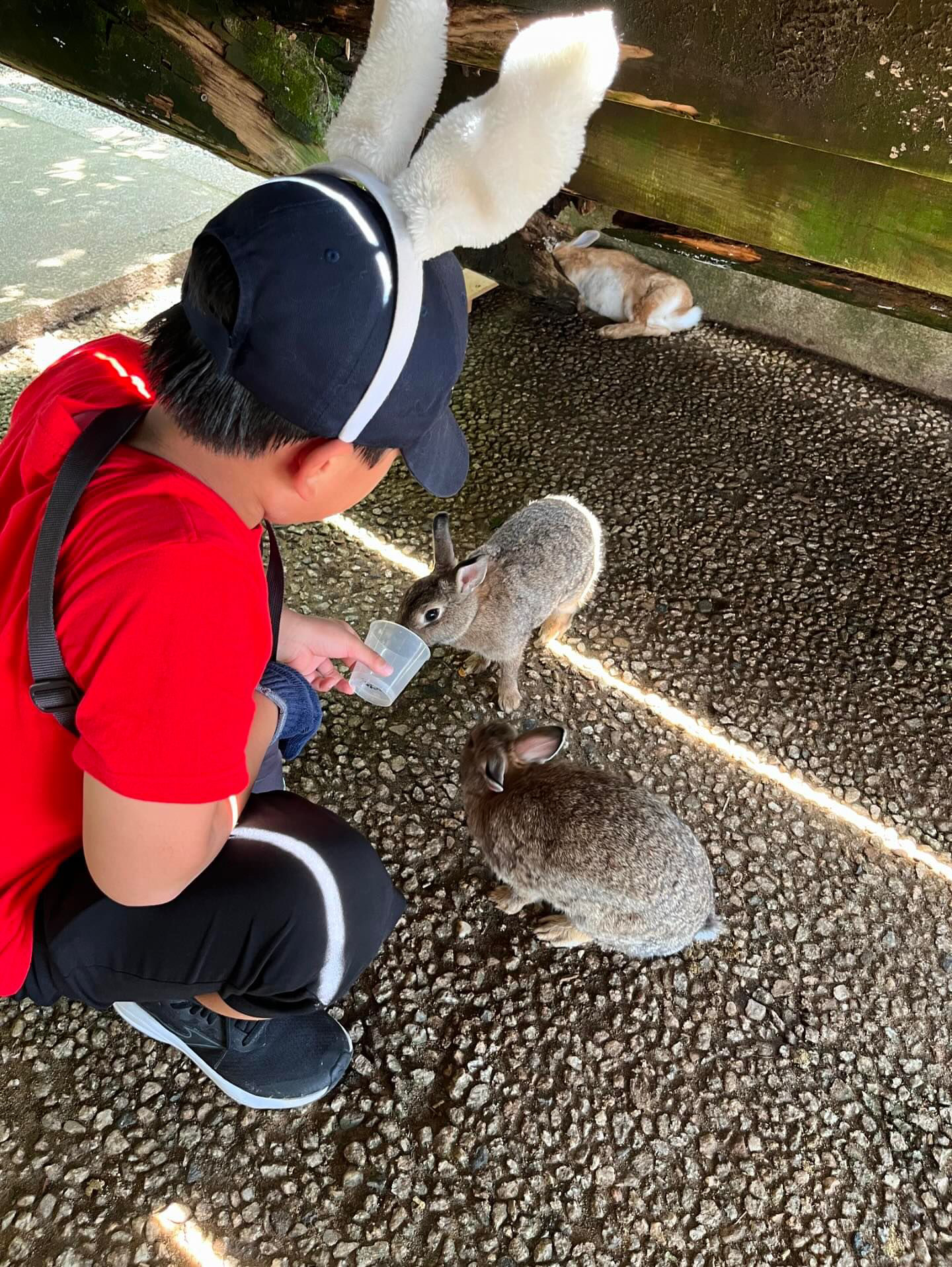 D9584D16-8B45-4B21-B386-0A3B4A61DC51