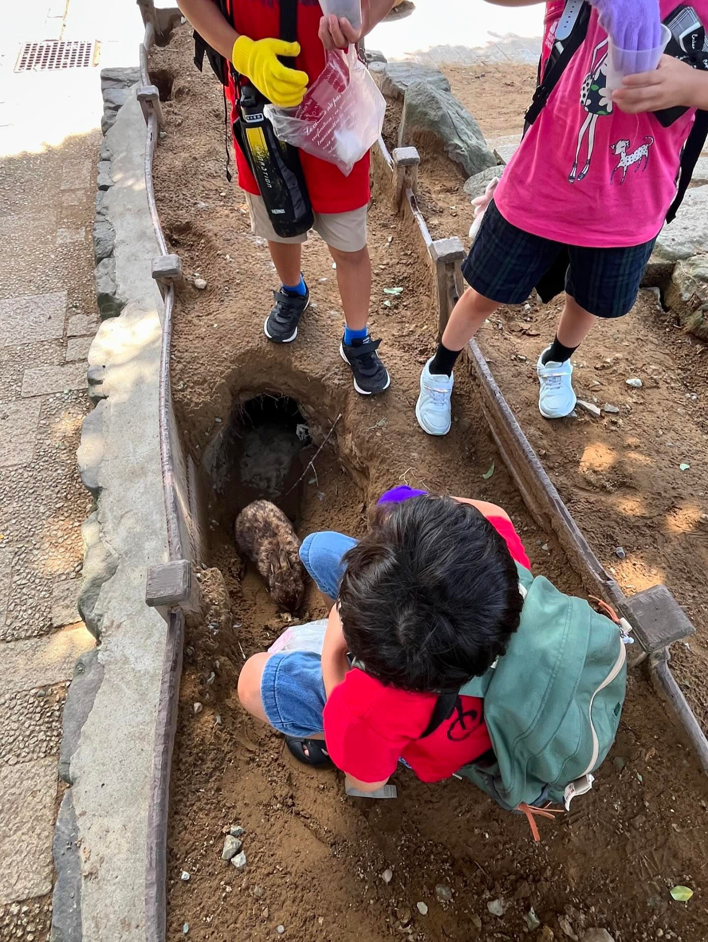 EB5459DA-48BD-46C2-8CFE-154A350AAD94