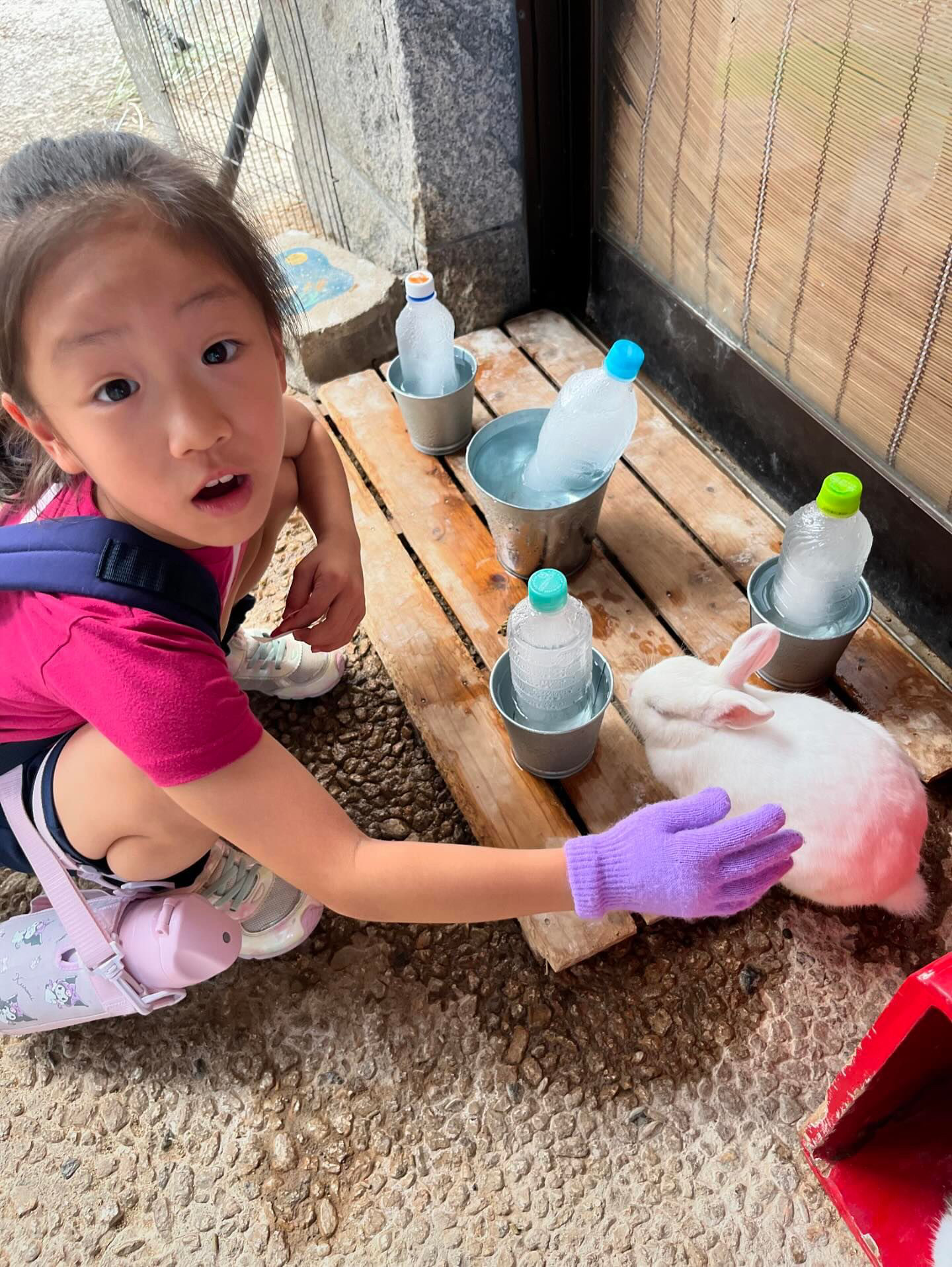 EC1E662D-7BE3-4677-9C96-A647AAE82682